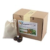 Мыльные орехи «Sapindus Mukorossi»