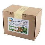 Мыльные орехи «Sapindus Trifoliatus»