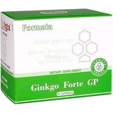 Ginkgo Forte GP (Гинкго Форте Джи Пи)