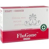 FluGone (ФлюГан)