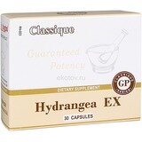 Hydrangea EX (Экстракт корня гортензии)