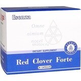 Red Clover Forte (Красный клевер Форте)