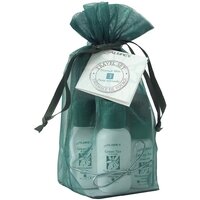Дорожный набор для нормальной кожи «Зеленый чай» Aubrey Organics купить